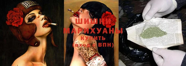 ПСИЛОЦИБИНОВЫЕ ГРИБЫ Алзамай