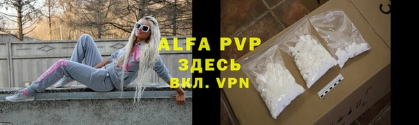 стаф Алексеевка