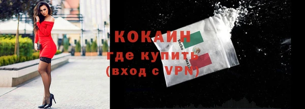 шишки Елизово