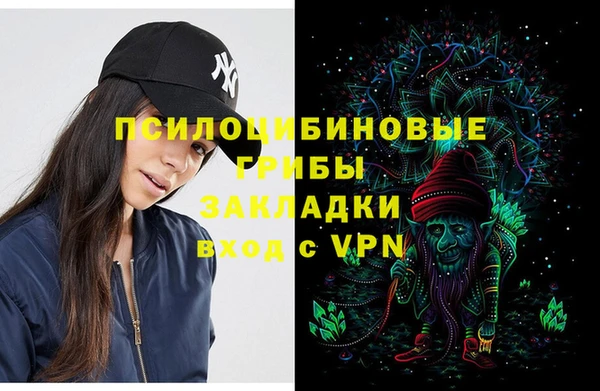 стаф Алексеевка