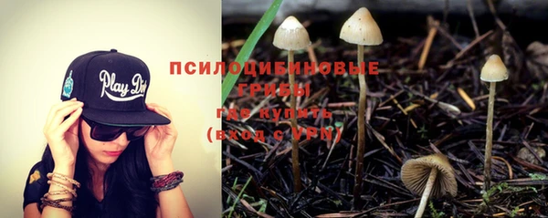 стаф Алексеевка