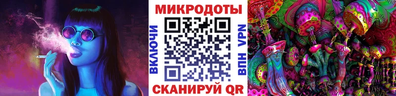 купить наркотики сайты Лебедянь hydra tor Псилоцибиновые грибы прущие грибы